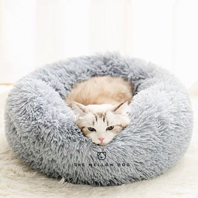 Katzenbett kaufen Schweiz – worauf du wirklich achten musst