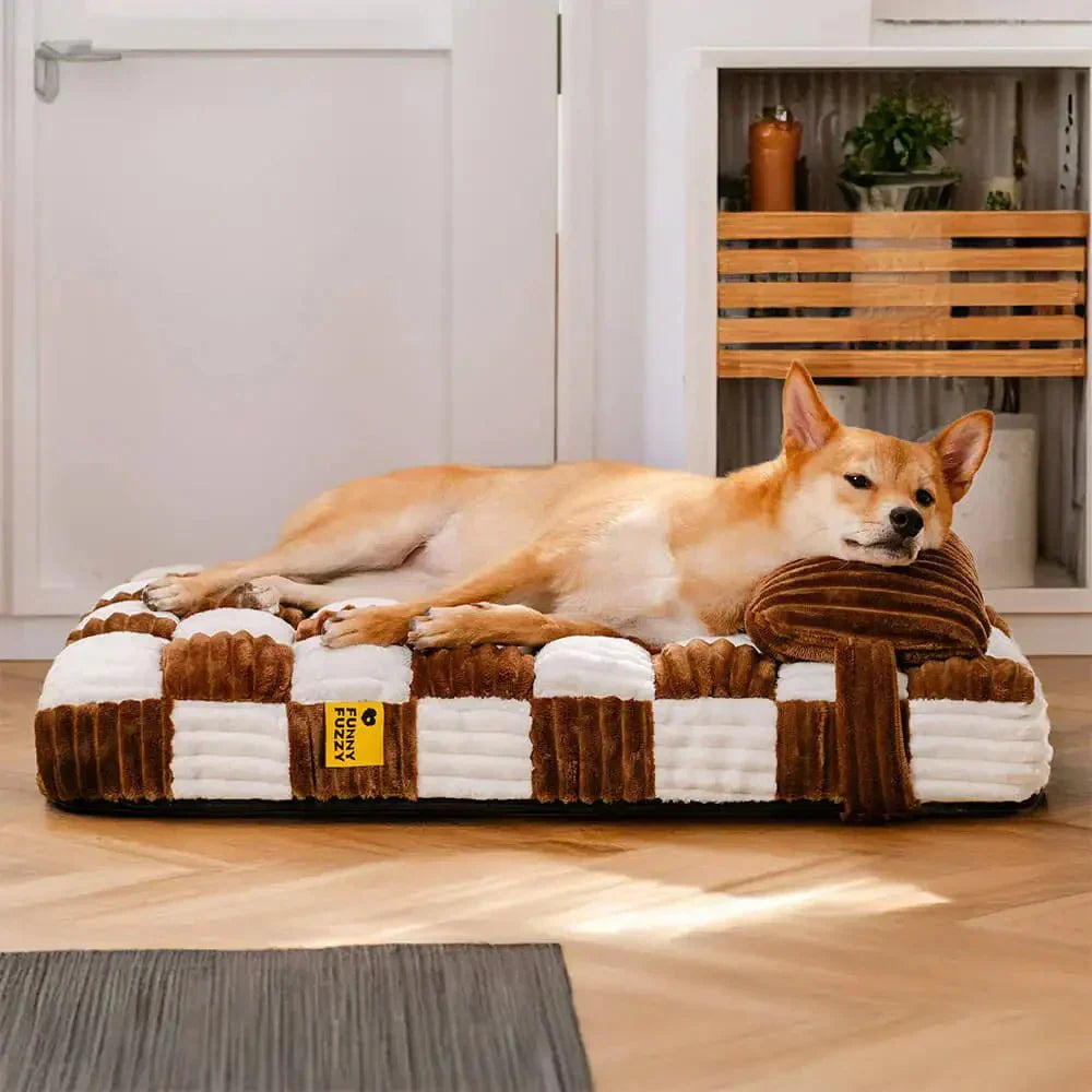 Orthopädisches Hundebett Schweiz – für wen lohnt es sich wirklich?