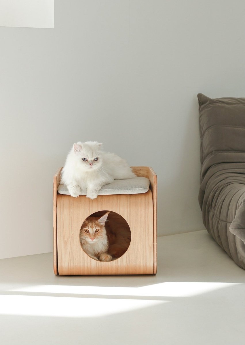 Hochwertige Betten für Hunde und Katzen