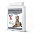 Hundefutter Probiotics