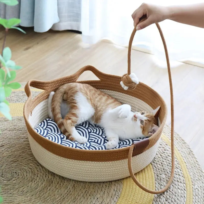 Katze spielt im Katzenbett mit einem geknoteten Ball an einer Schnur, die eine Hand über dem Bett hält.