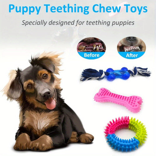 Lot de jouets à mâcher pour chien, assortiment (15 pièces)