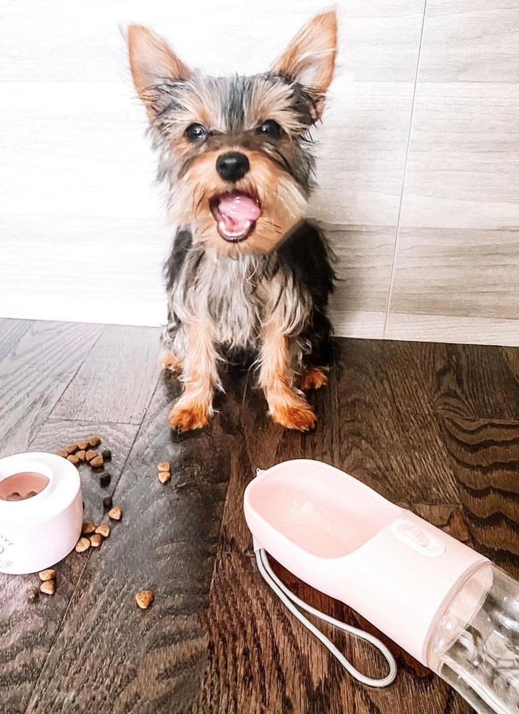 2-in-1-tragbarer Futterautomat für Haustiere