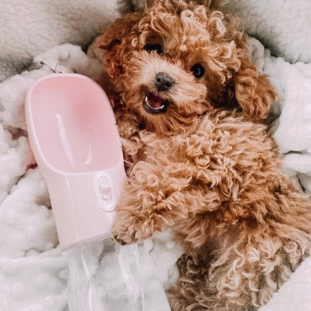 2-in-1-tragbarer Futterautomat für Haustiere