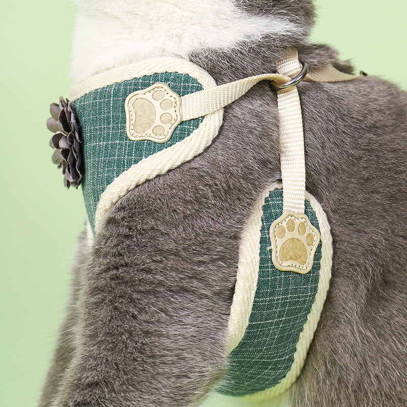 Nahaufnahme des grünen Katzengeschirrs mit feinem Karomuster, Pfotenmotiven und cremefarbenen Riemen.