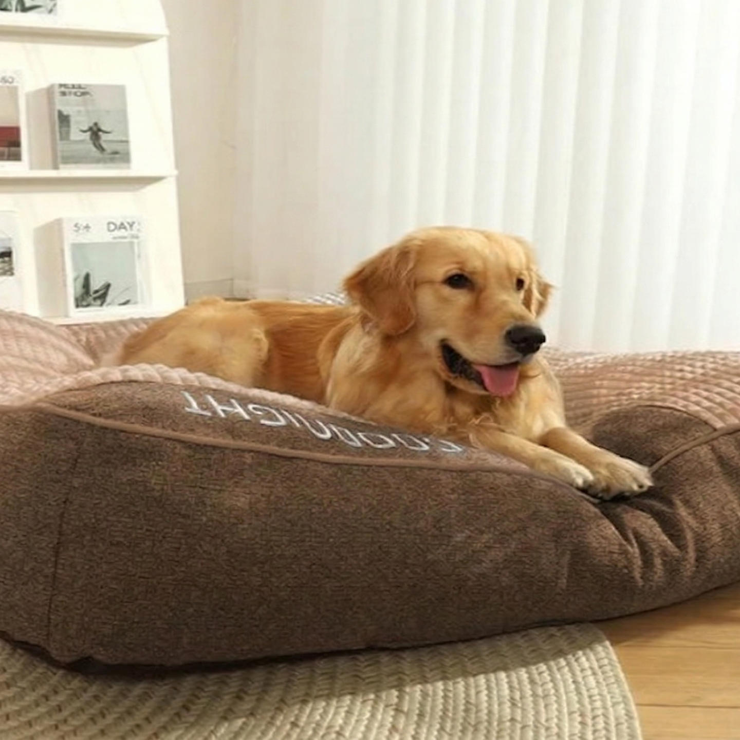 Orthopädisches Hundebett Sofa