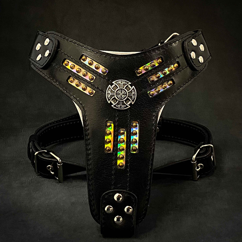 BESTIA Atlantis Ledergeschirr aus schwarzem Leder mit schimmernden Chamäleon-Details, goldfarbenen Nieten und rundem Zierelement.