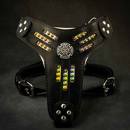 BESTIA Atlantis Ledergeschirr aus schwarzem Leder mit schimmernden Chamäleon-Details, goldfarbenen Nieten und rundem Zierelement.