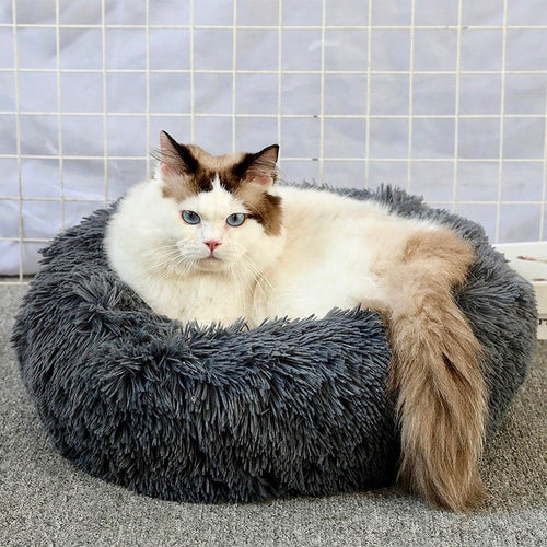 Beruhigendes Katzenbett – Anti-Angst Katzenbett mit weichem Rand