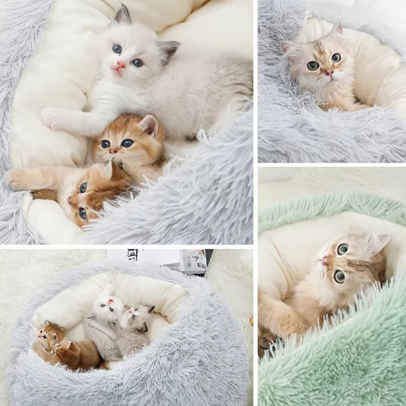 Bildcollage mit Katzen und Kätzchen in weich gepolsterten Plüsch-Katzenbetten.