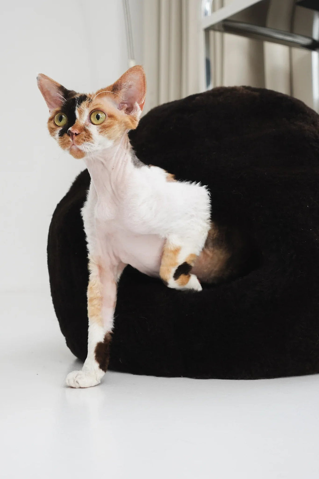 Letto nido per animali domestici in pelle di pecora – Marrone