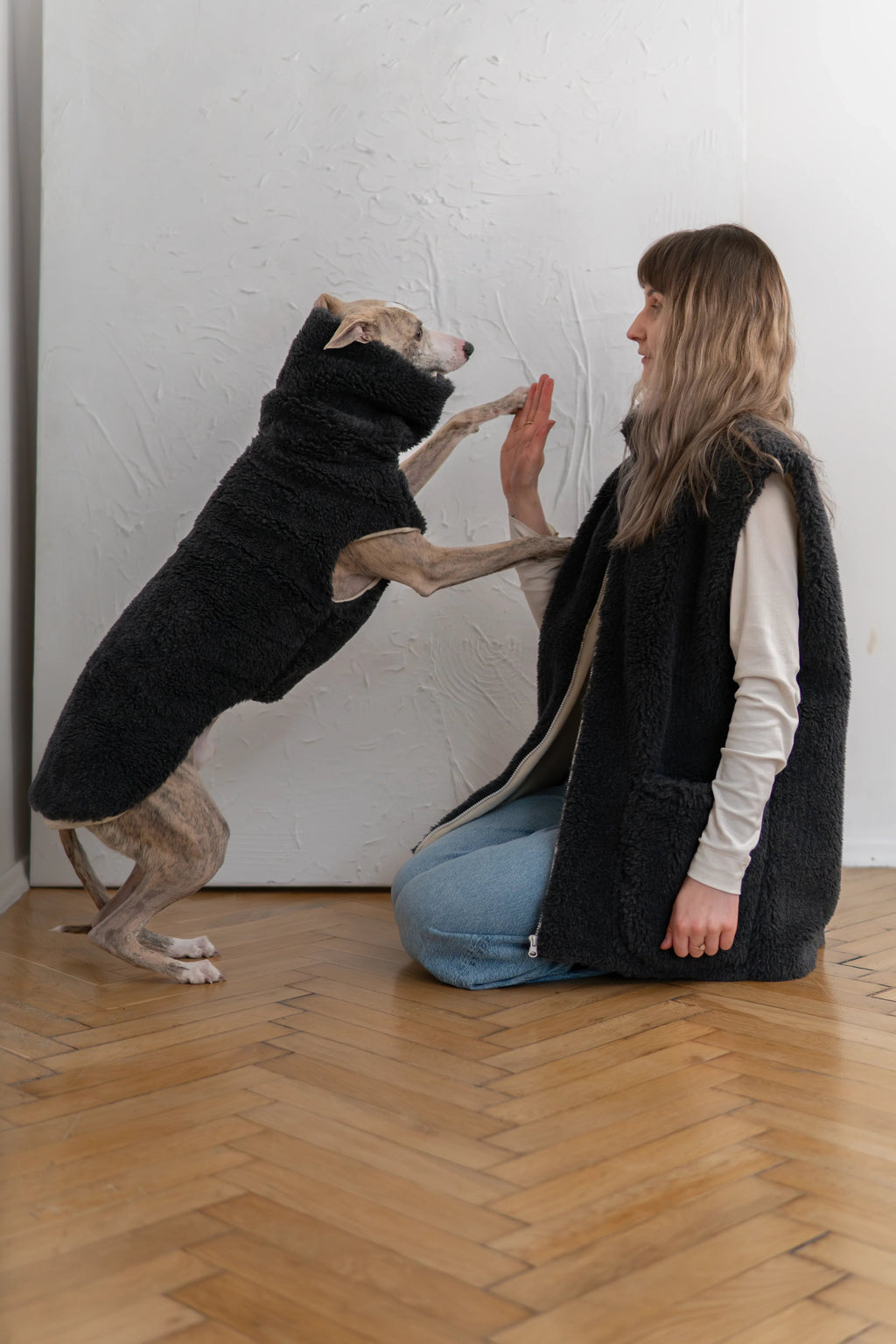Hund in anthrazitfarbener Wollweste von Mellow richtet sich vor einer knienden Frau auf.