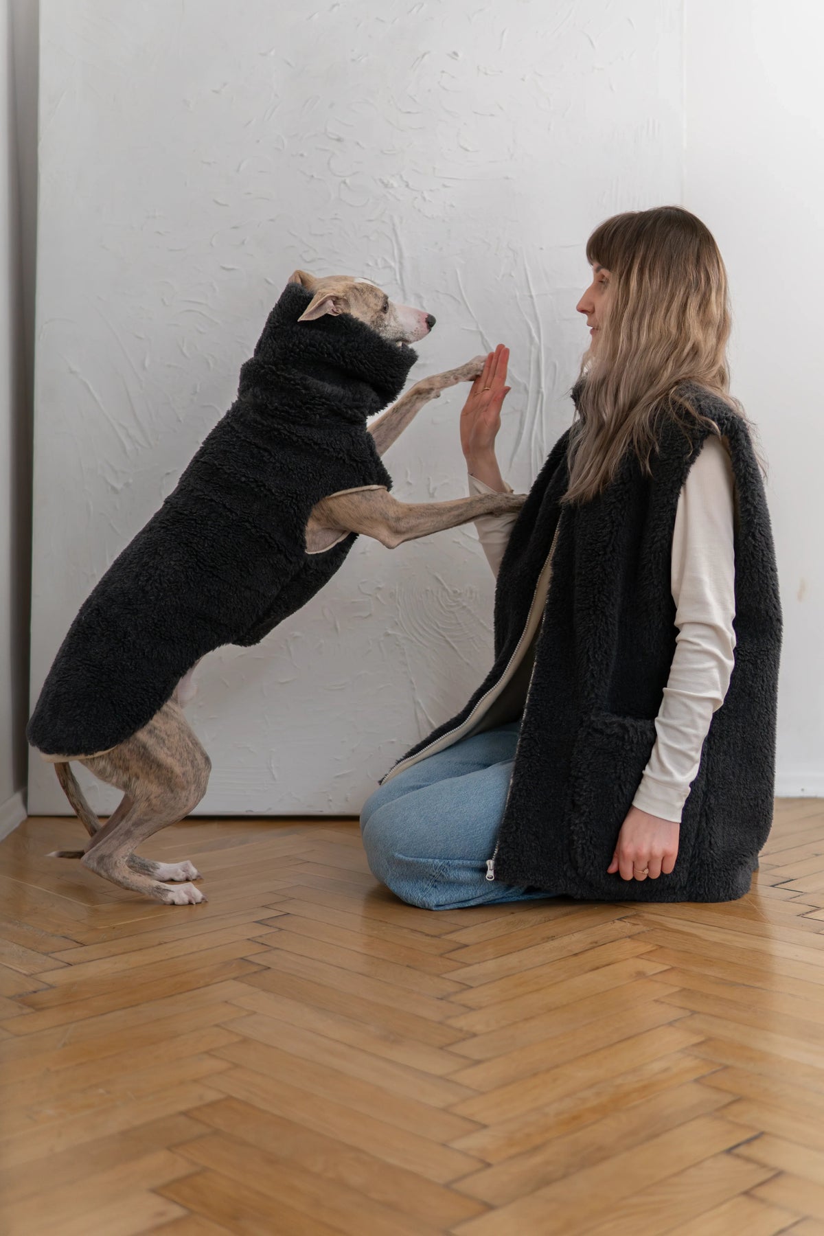 Hund in anthrazitfarbener Wollweste von Mellow richtet sich vor einer knienden Frau auf.