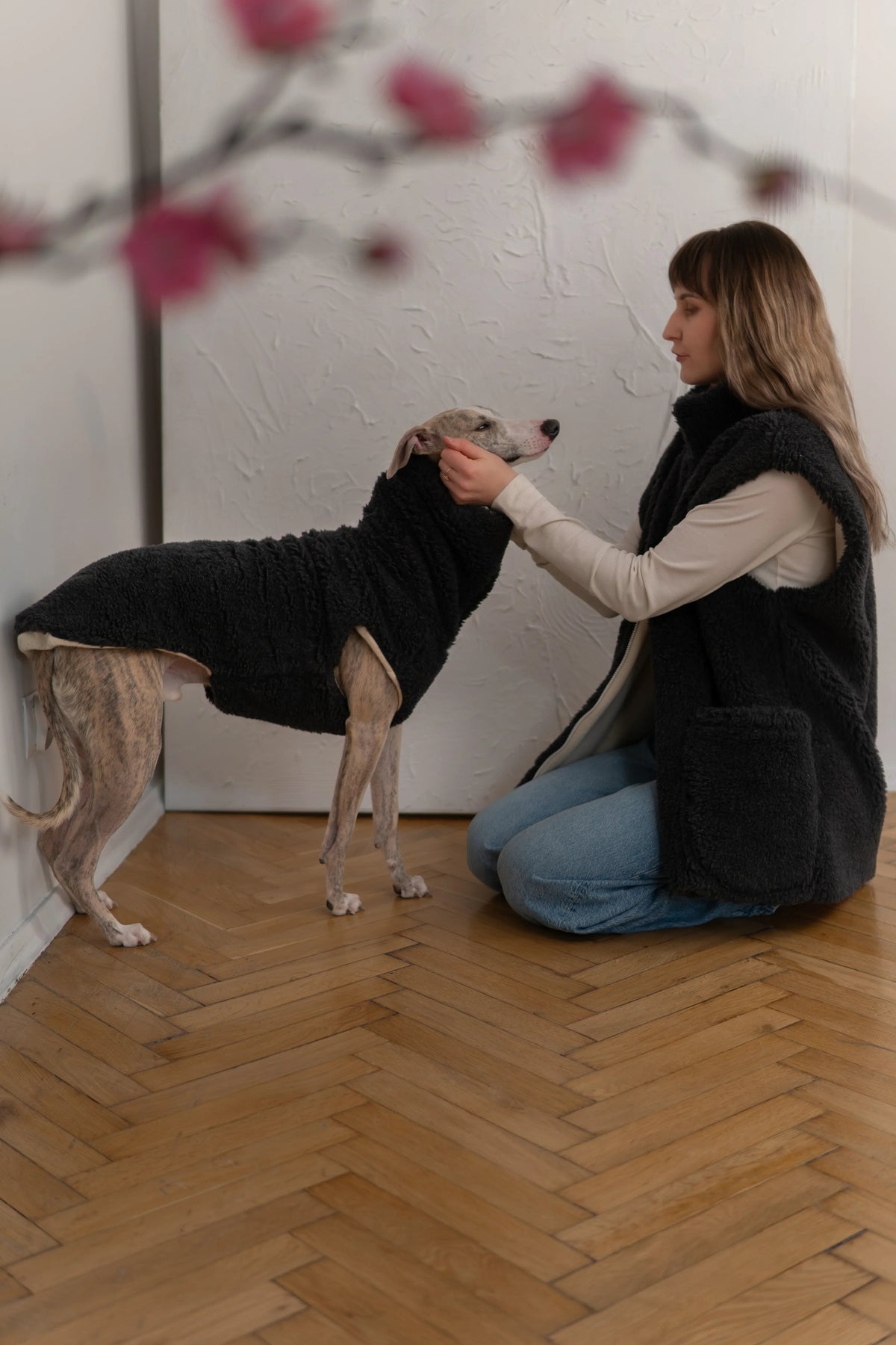 Seitenansicht eines Hundes mit anthrazitfarbener Mellow-Wollweste und hohem Kragen neben einer Frau.