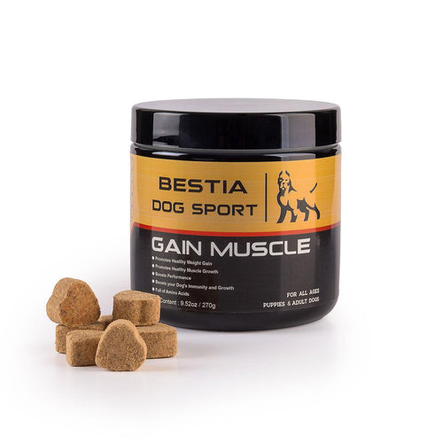 BESTIA-Dog-Sport-Gain-Muscle-Dose neben mehreren braunen Futterergänzungsstücken auf weissem Hintergrund
