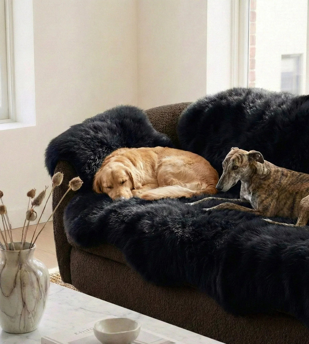 MELLOW Sofaauflage aus echtem Schaffell für Hunde & Katzen – Schwarz