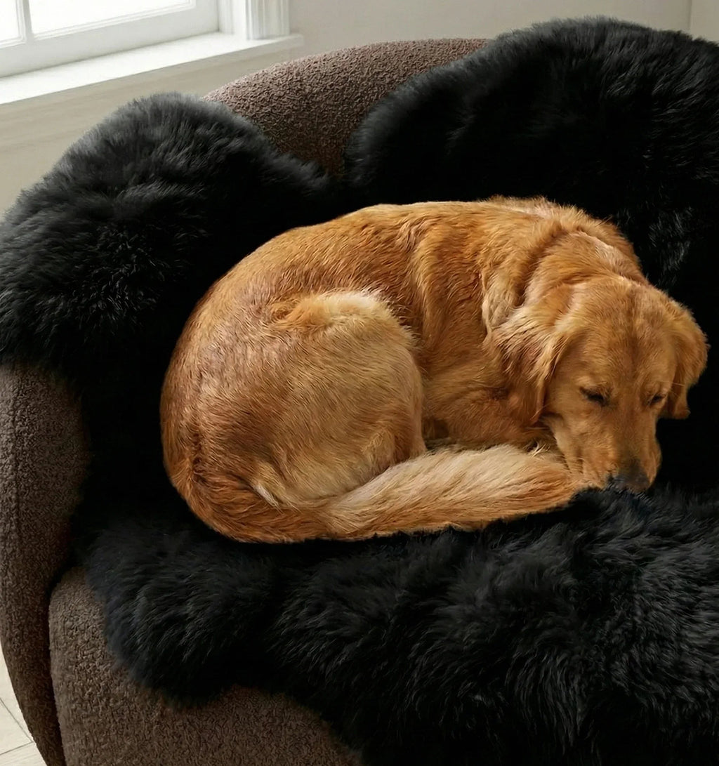 MELLOW Sofaauflage aus echtem Schaffell für Hunde & Katzen – Schwarz