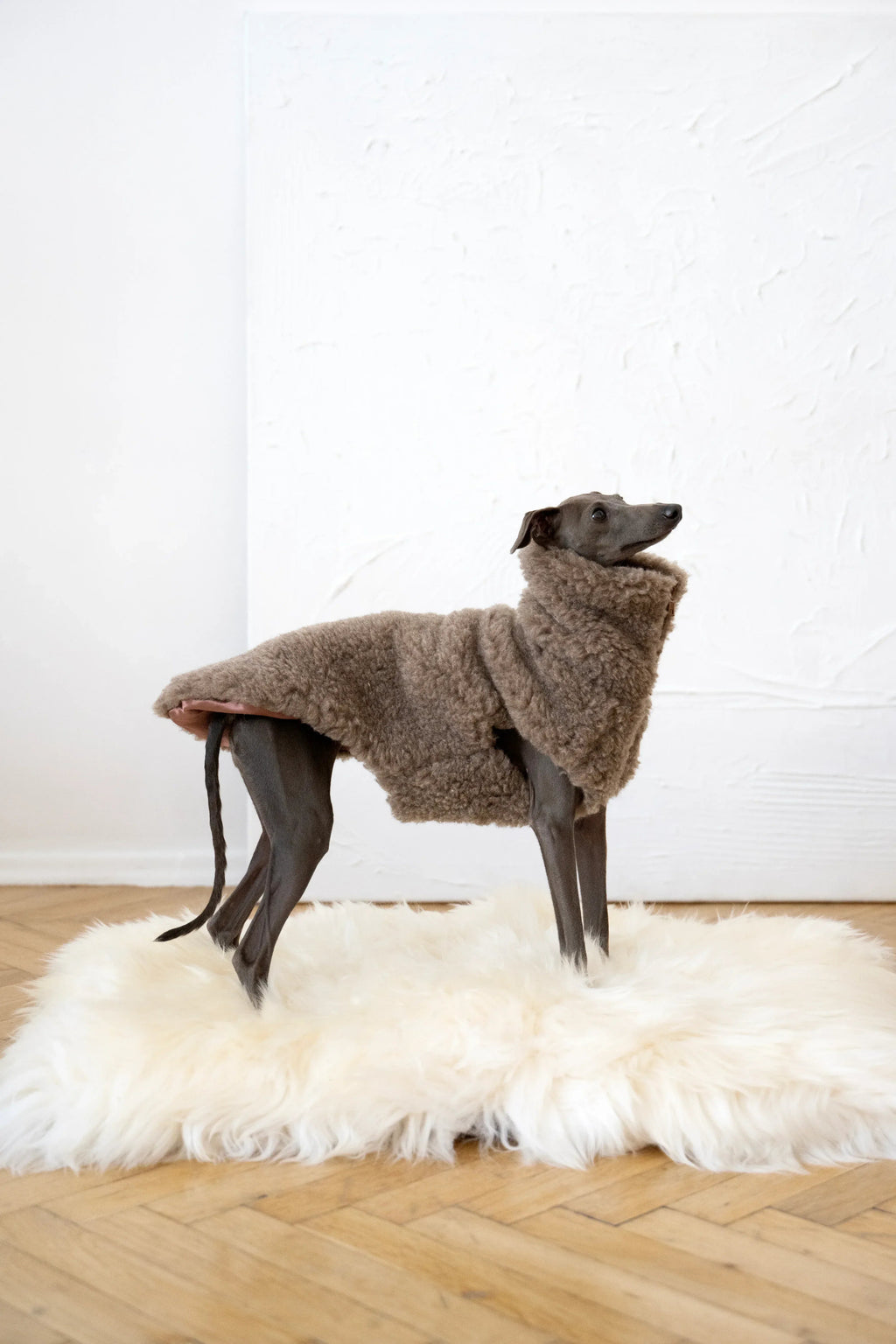 Seitenansicht eines Hundes in beiger Mellow-Wollweste mit hohem Kragen auf einer weissen Fellunterlage.