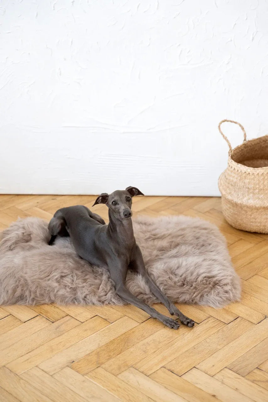 Quadratische oder rechteckige Haustiermatte aus natürlichem Schaffell – Graubeige