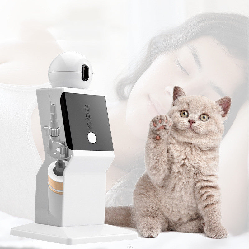 Roboterkatze und Katze