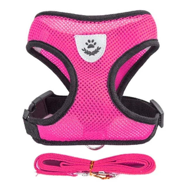 Pinkes Mesh-Katzengeschirr mit schwarzer Einfassung und passender pinker Leine.
