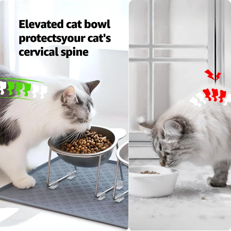 Erhöhter Katzennapf