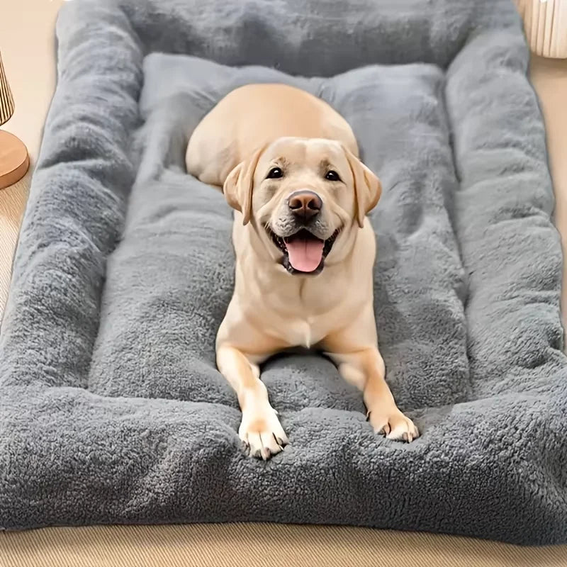 Tapis pour animaux de compagnie pour chats et chiens de toutes tailles