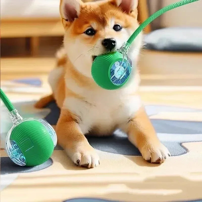 Katzenballspielzeug