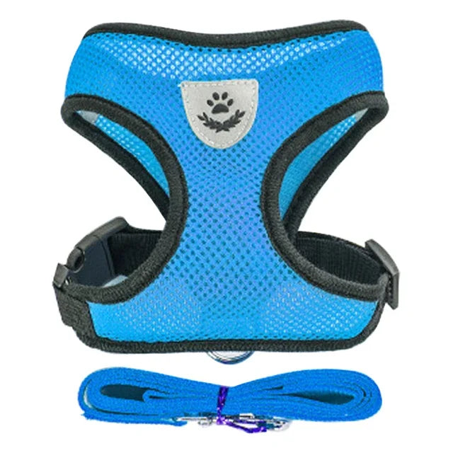 Blaues Mesh-Katzengeschirr mit schwarzer Einfassung und passender blauer Leine.