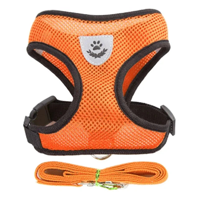 Orangefarbenes Mesh-Katzengeschirr mit schwarzer Einfassung und passender orangefarbener Leine.