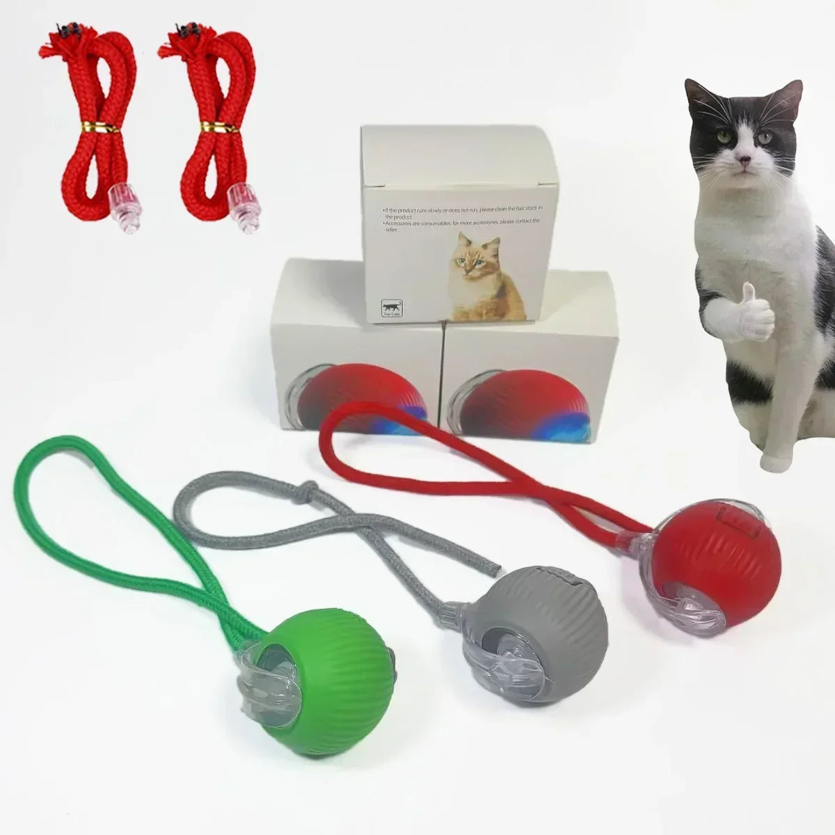 Katzenballspielzeug