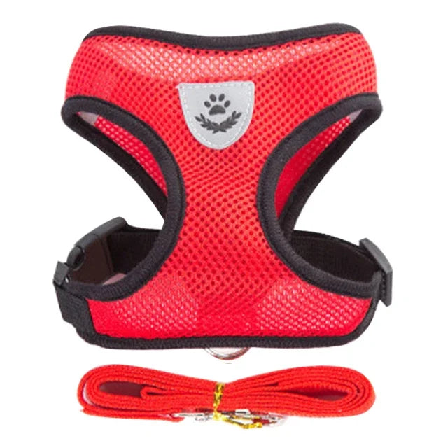 Rotes Mesh-Katzengeschirr mit schwarzer Einfassung und passender roter Leine.