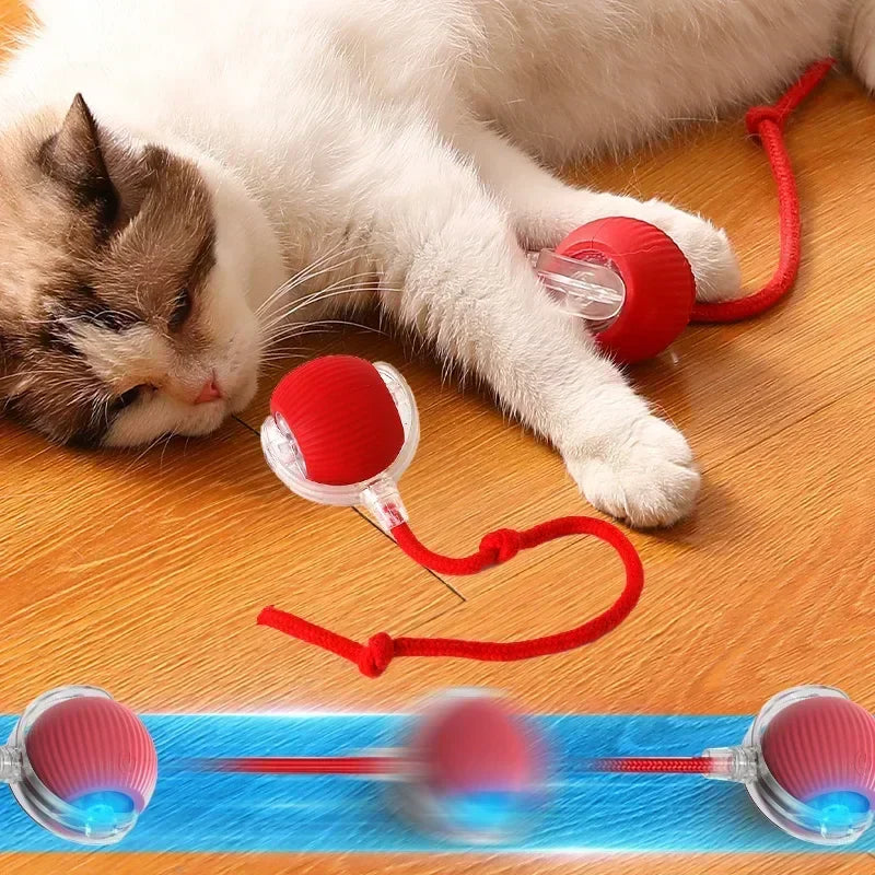 Katzenballspielzeug