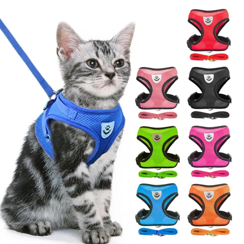 Getigerte Katze mit blauem Mesh-Geschirr neben einer Übersicht verschiedener Geschirrfarben mit passenden Leinen.
