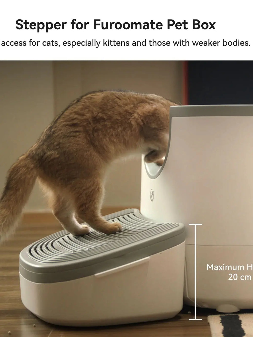 Selbstreinigende Katzentoilette – Offenes Design mit Sicherheitssensoren