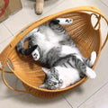 Kuscheliges Katzenkorb-Nest | Hängematte & Höhlenbett für Katzen – wasserdicht