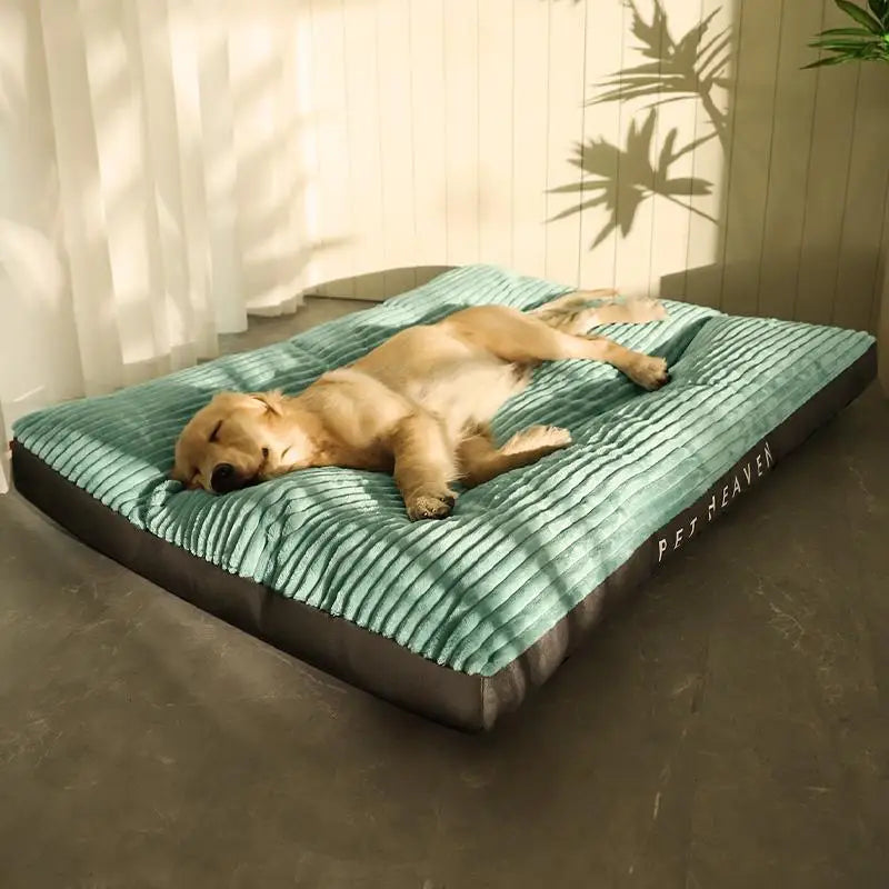 Dickes Deluxe-Hundebett