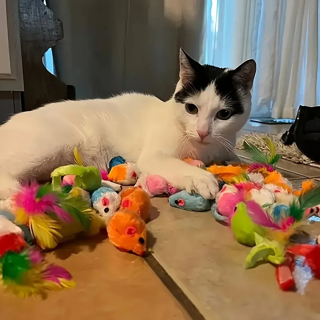 Katzenspielzeug-Mixpaket