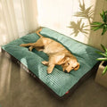 Dickes Deluxe-Hundebett