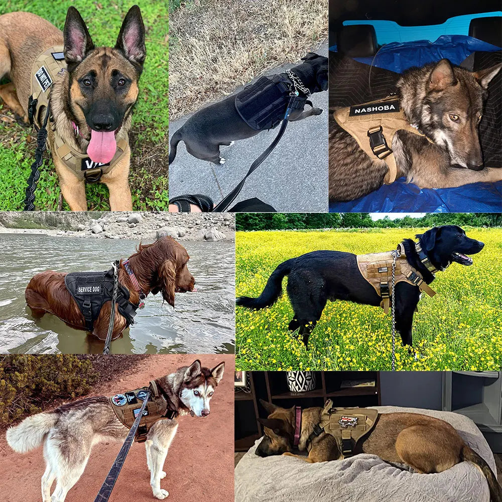 Hundegeschirr groß Anti-Zieh – für starke Hunde | Koller SnugglePets