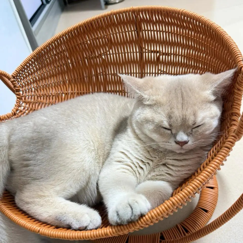 Kuscheliges Katzenkorb-Nest | Hängematte & Höhlenbett für Katzen – wasserdicht