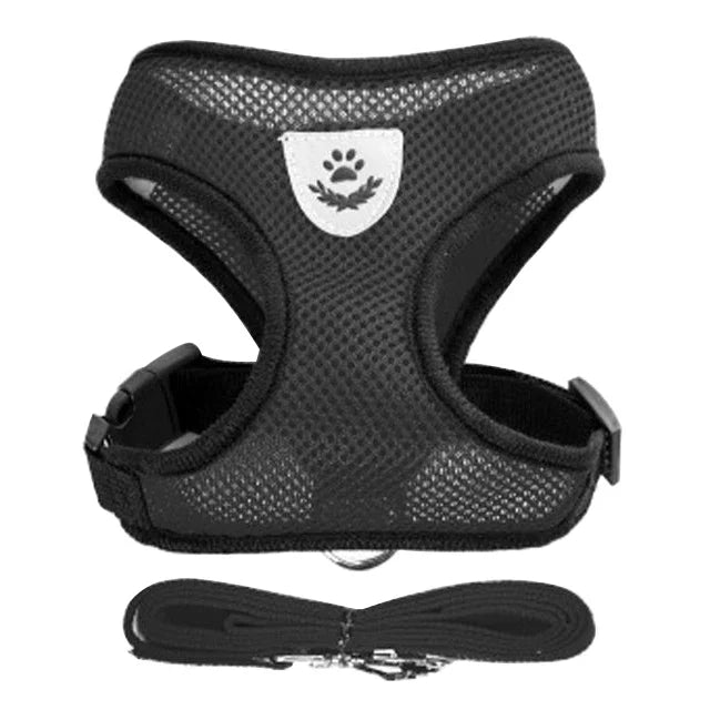 Schwarzes Mesh-Katzengeschirr mit passender schwarzer Leine.