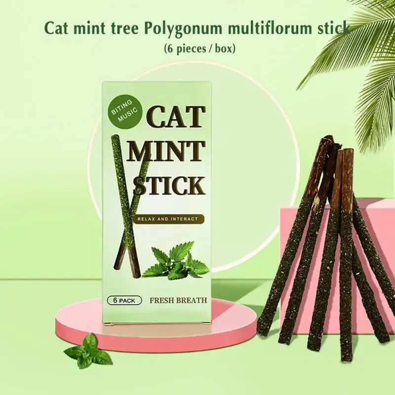 Matatabi Katzenstäbchen – 6er Set zur Zahnreinigung & Beschäftigung