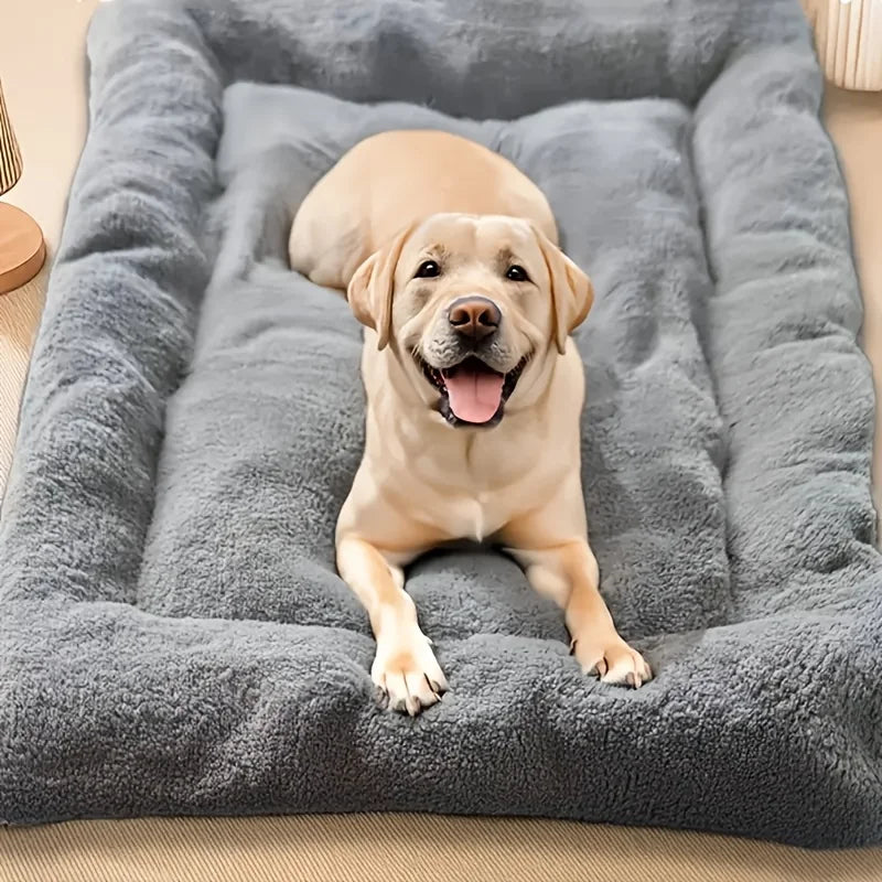 Haustiermatte Hund