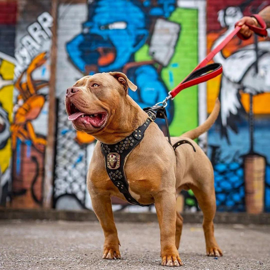 BESTIA DOG SPORT Doppelgriff-Leine Rot