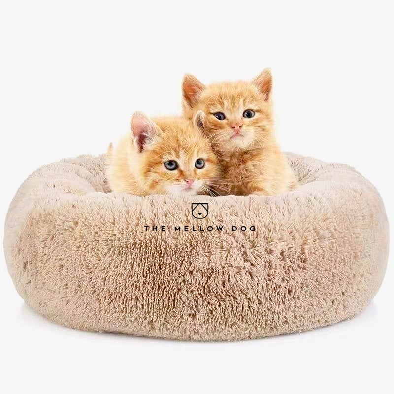 Beruhigendes Katzenbett – Anti-Angst Katzenbett mit weichem Rand