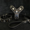 Schwarzes Aztec-Lederset aus Geschirr, Halsband und Leine mit schwarzer Polsterung, hellen Nähten, Metallornamenten und Pyramidennieten auf dunklem Hintergrund