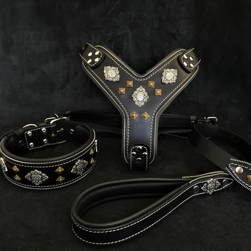 Schwarzes Aztec-Lederset aus Geschirr, Halsband und Leine mit schwarzer Polsterung, hellen Nähten, Metallornamenten und Pyramidennieten auf dunklem Hintergrund