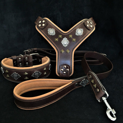 BESTIA Aztec Lederset in Braun mit Geschirr, Halsband und Leine, heller Polsterung und silber- und messingfarbenen Ziernieten.