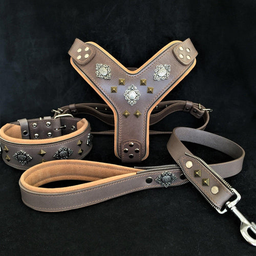 Graues Aztec-Lederset aus Geschirr, Halsband und Leine mit beigefarbener Polsterung, Metallornamenten und Pyramidennieten auf schwarzem Hintergrund